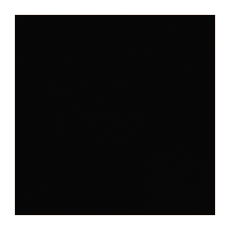Фотофон Raylab 009 Black бумажный черный 2.72x11м