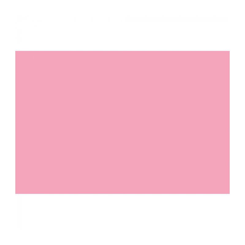 E-Image 17 Carnation pink Background paper Фон бумажный, розовая гвоздика 2,72 х 10,0 метров