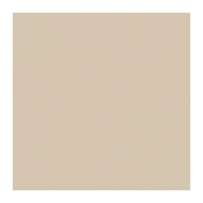 Фон бумажный Vibrantone Milk Coffee 2,1x11m  VBRT 19
