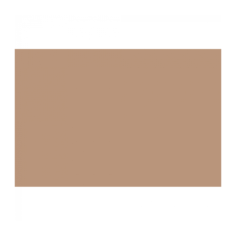 E-Image 25 Beige Background paper Фон бумажный, бежевый 2,72 х 10,0 метров